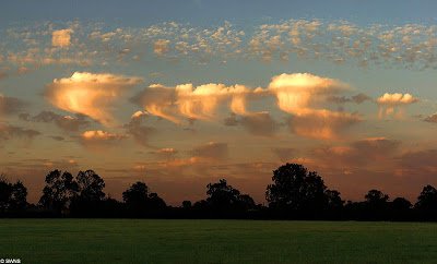 Altocumulus Castelanus 1 - top 10 VERY rare Clouds !!!
