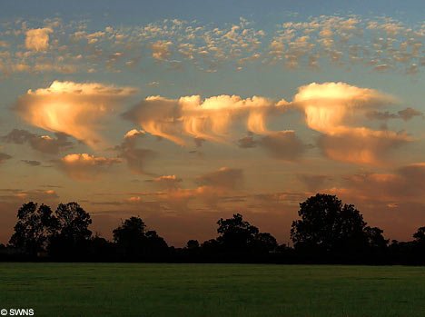JellyFishCloudsSWNS 468x349 1 - top 10 VERY rare Clouds !!!