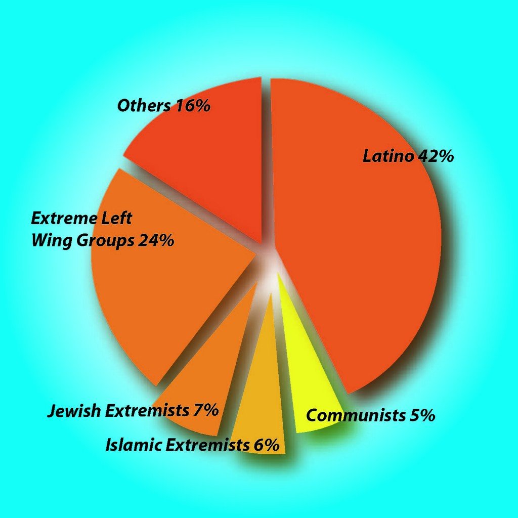piechart21024x1024 1 - Why the violence?