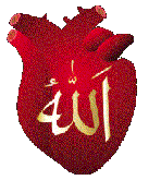 heart 1 - Lost trio follow call of azan (muslim call for prayer)