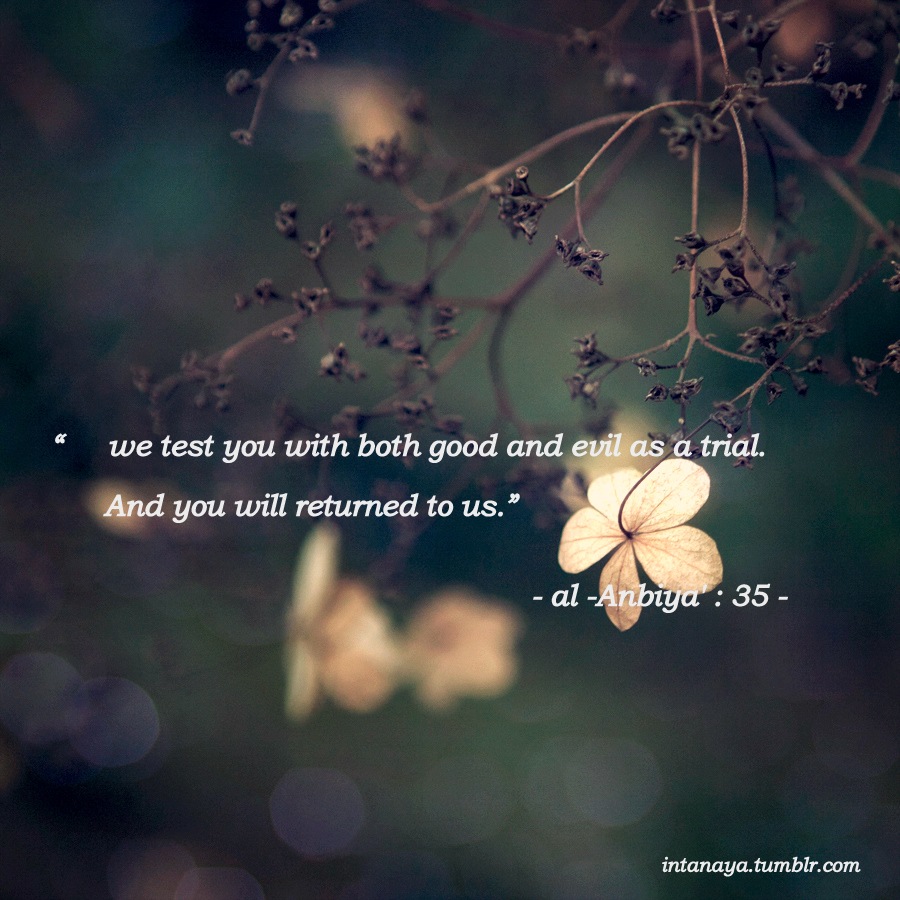 goodandevilquotes8 1 - Beautiful Quotes, Proverbs, Sayings